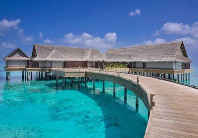 攜程上線近700條出境團隊游產品，熱點目的地分析與行業展望