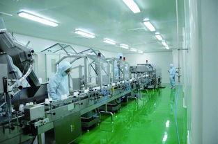 杭州雅琪 精英團(tuán)隊(duì)，共創(chuàng)圖文設(shè)計(jì)之美